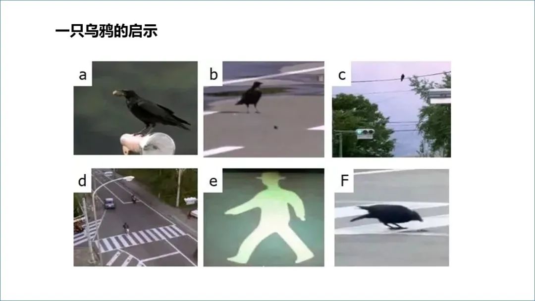 🔥ChatGPT革命？微软数百亿布局，教育训练热浪来袭！🔥高校论文伦理大讨论，咨询业面临何去何从？