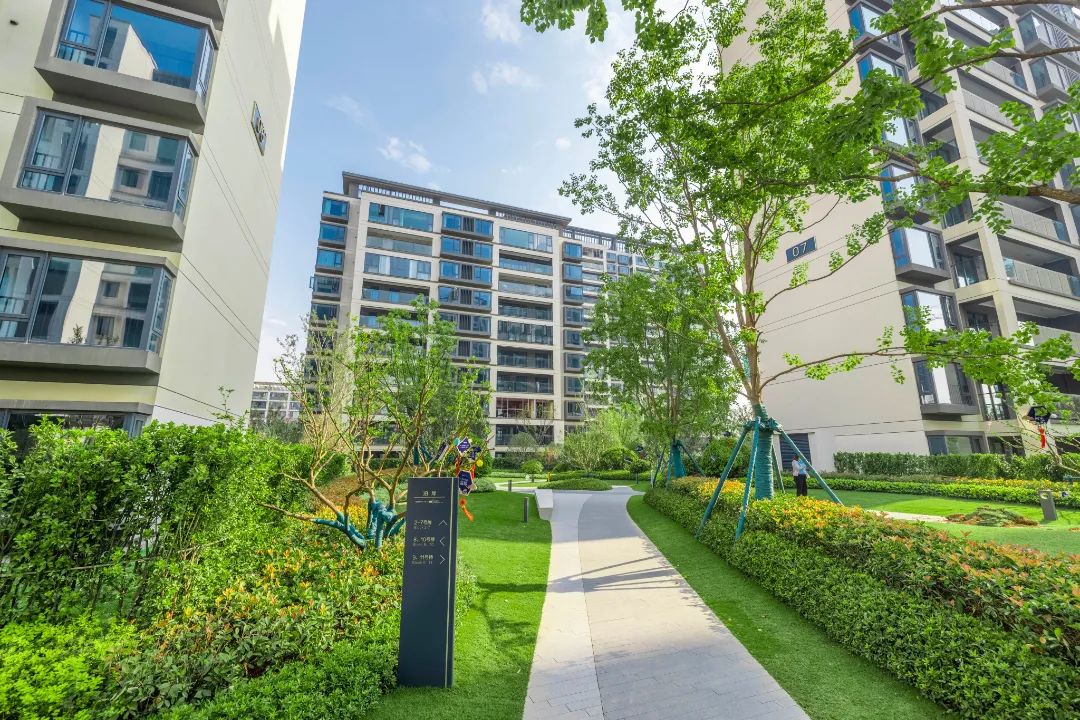 揭秘!如何让文章一炮而红?彭赟珊编辑的独门秘籍? 揭秘!如何让文章一炮而红?彭赟珊编辑的独门秘籍?