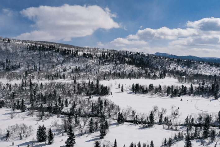 吉林的春雪仙境，你感受到了吗？探秘冰雪浪漫与温暖交织的二月之旅雪舞春光，吉林等你共绘冬春之恋