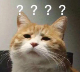 知道真相吗?两种断句方式,哪种才是你的秘密心思? 知道真相吗?两种断句方式,哪种才是你的秘密心思?