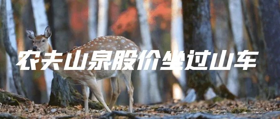 面对GPT挑战,百度的PPT能赢吗?股民的疑问与AI风暴下的百度未来 面对GPT挑战,百度的PPT能赢吗?股民的疑问与AI风暴下的百度未来