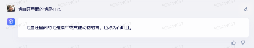 国内首个'ChatGPT'对手，文心一言实测表现如何？