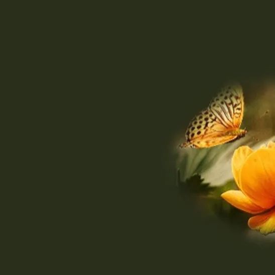 一键编程,科学通路畅通无阻?探索科研新可能! 一键编程,科学通路畅通无阻?探索科研新可能!