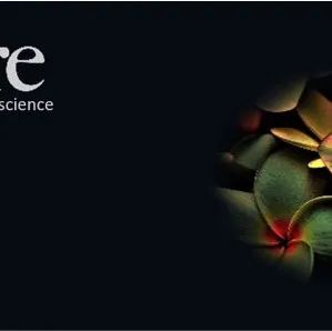 一键编程,科学通路畅通无阻?探索科研新可能! 一键编程,科学通路畅通无阻?探索科研新可能!