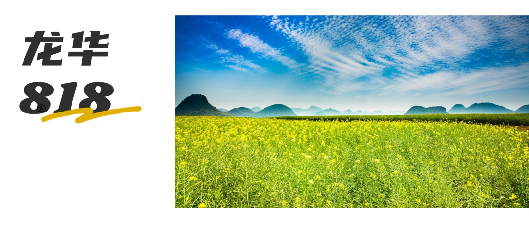 揭秘ChatGPT!这位全能‘朋友’带我们逛龙华,真相何在?🔥💡 揭秘ChatGPT!这位全能‘朋友’带我们逛龙华,真相何在?🔥💡