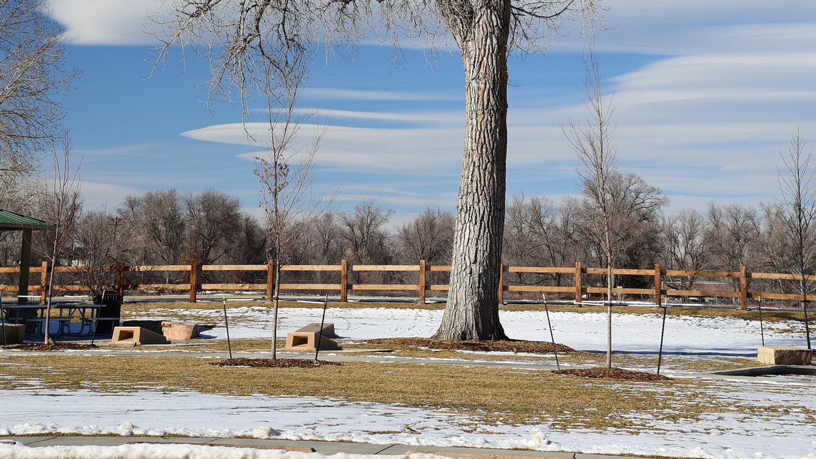 科技如何彻底改变你的生活? 科技如何彻底改变你的生活?