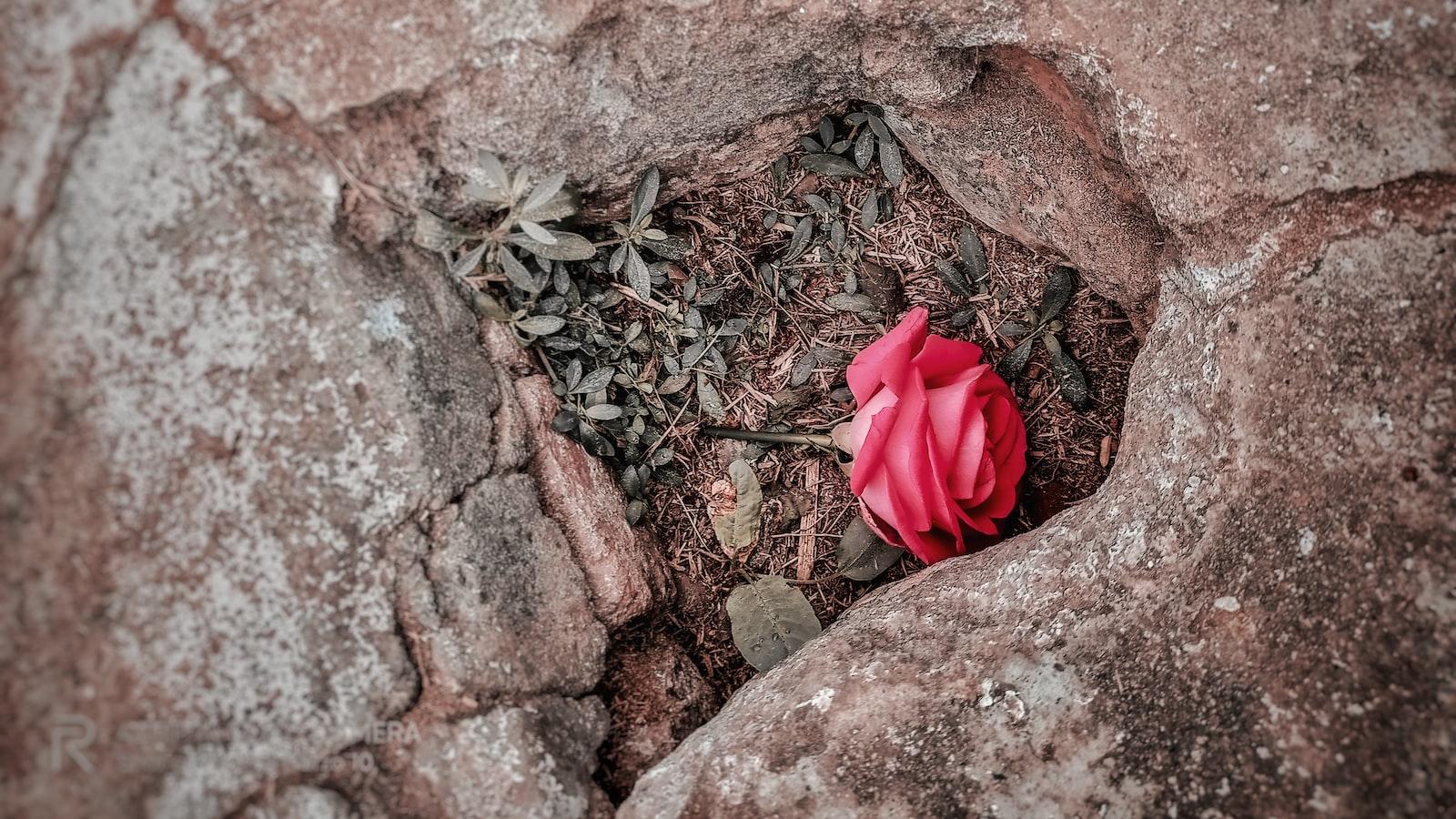 科技如何彻底改变你的生活? 科技如何彻底改变你的生活?