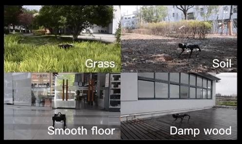 ChatGPT能聊天却不能决策?AI智能探索路在哪? ChatGPT能聊天却不能决策?AI智能探索路在哪?