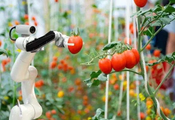 面对AI冲击,普通生该怎样选专业? 面对AI冲击,普通生该怎样选专业?