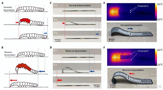1.毛毛虫启发!新型软体机器人实现热响应双向运动??
2.ChatGPT加速,三星半导体机密遭 1.毛毛虫启发!新型软体机器人实现热响应双向运动??
2.ChatGPT加速,三星半导体机密遭