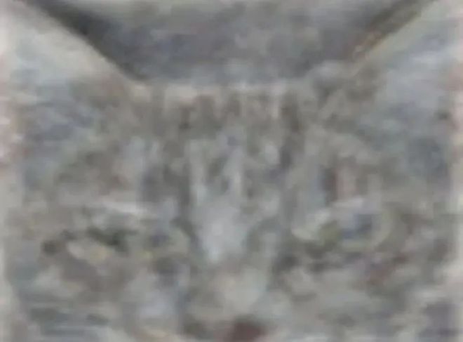 探索AI知识森林,跟随综述专栏,深度解析ChatGPT与未来科技之路 探索AI知识森林,跟随综述专栏,深度解析ChatGPT与未来科技之路