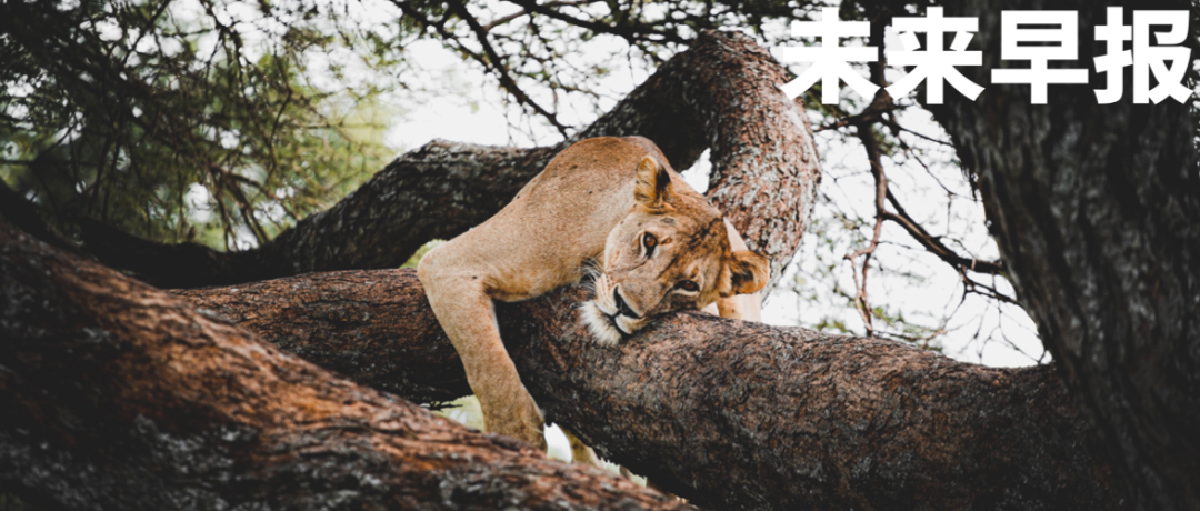 ChatGPT关聊天记录，用户隐私如何保护？马斯克「小号」真身曝光，微软浏览器惹争议，AI工具包助力