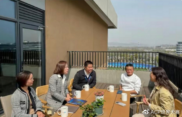 ChatGPT热浪中,AdobeFirefly为何闪耀?科技巨头AI大战,你准备好了吗? ChatGPT热浪中,AdobeFirefly为何闪耀?科技巨头AI大战,你准备好了吗?