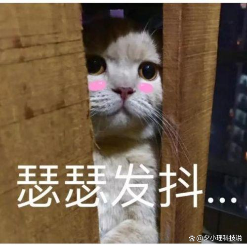 ChatGPT的推荐冲击:现实应用另一边,是否已感受AI压力?🔥🔍 ChatGPT的推荐冲击:现实应用另一边,是否已感受AI压力?🔥🔍