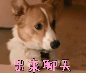 即将被ChatGPT取代的十大工作!留学生该如何选择大学专业? 即将被ChatGPT取代的十大工作!留学生该如何选择大学专业?