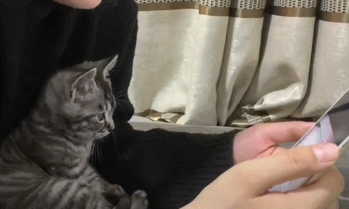 揭秘!求职面试终极秘籍?面对内卷,你的核心竞争力是什么? 揭秘!求职面试终极秘籍?面对内卷,你的核心竞争力是什么?