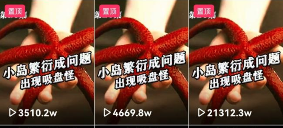 揭秘!求职面试终极秘籍?面对内卷,你的核心竞争力是什么? 揭秘!求职面试终极秘籍?面对内卷,你的核心竞争力是什么?