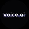 Voice.ai