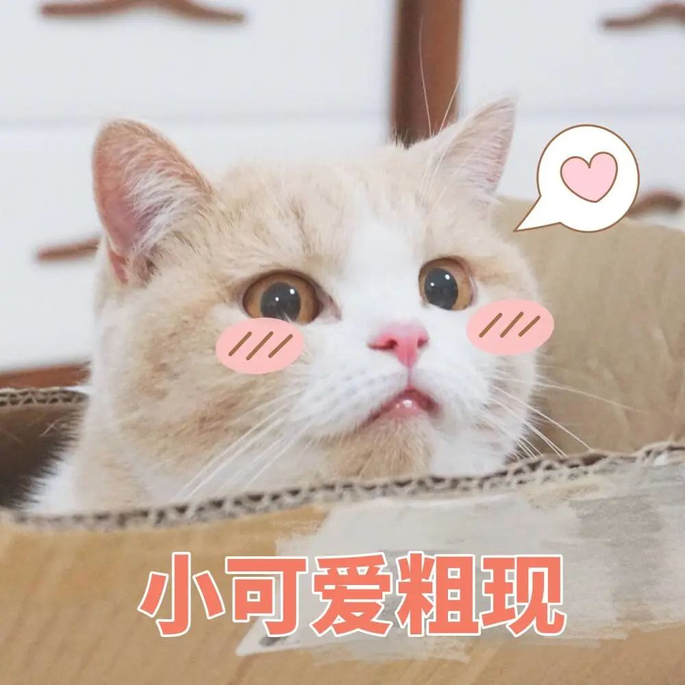 ChatGPT下,这些专业才是你的未来保障!汽车、幼师、航空服务与创意设计,稳就业无烦恼? ChatGPT下,这些专业才是你的未来保障!汽车、幼师、航空服务与创意设计,稳就业无烦恼?