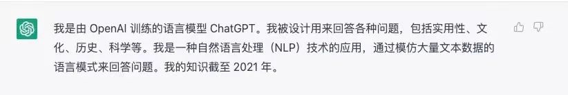 专访ChatGPT：你会造成大规模失业吗？你最看好中国的哪家公司？
