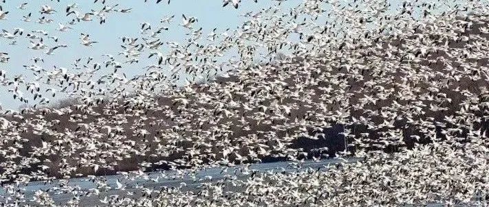 揭秘!危险工作排行你知多少?地铁悲剧震惊全美,MTA面临巨额索赔!无证移民新去处,50层酒店爆棚! 揭秘!危险工作排行你知多少?地铁悲剧震惊全美,MTA面临巨额索赔!无证移民新去处,50层酒店爆棚!