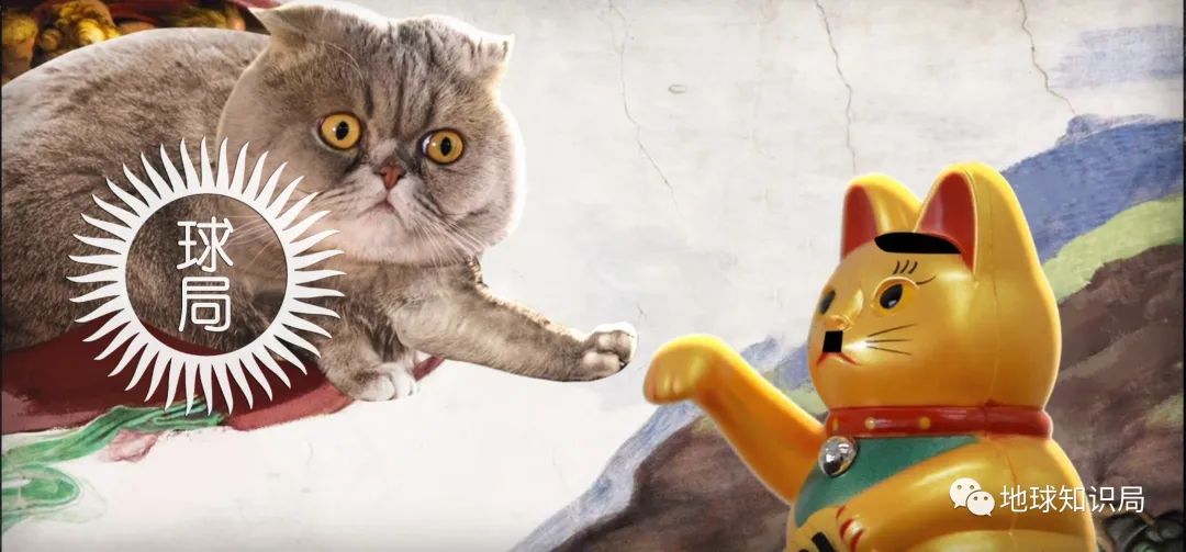 《聊天狂热族》