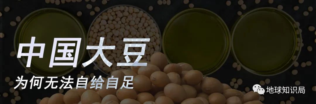 《聊天狂热族》