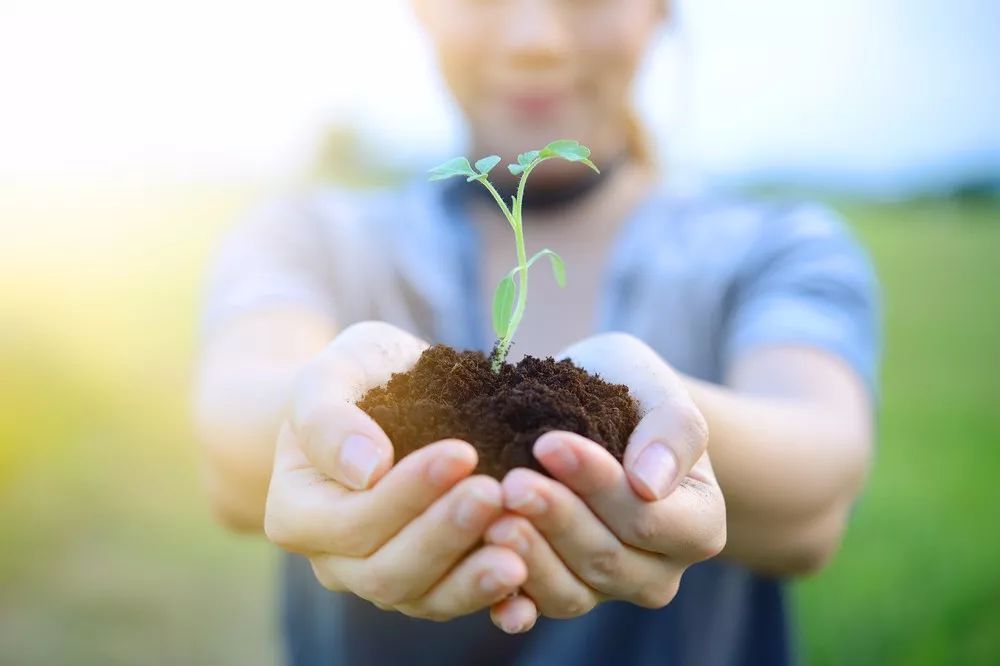 《ChatGPT时代：教师如何应对挑战？》