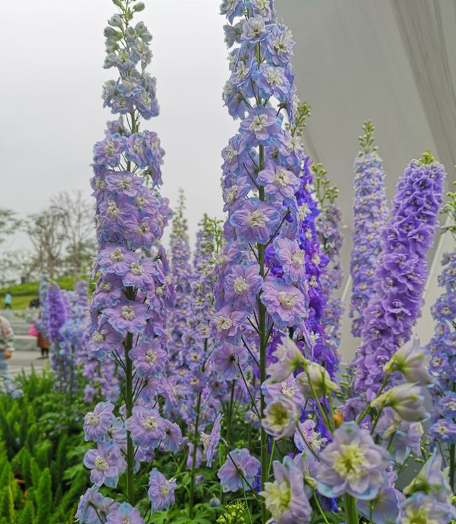 《ChatGPT:人工智能时代的赚钱利器》 《ChatGPT:人工智能时代的赚钱利器》