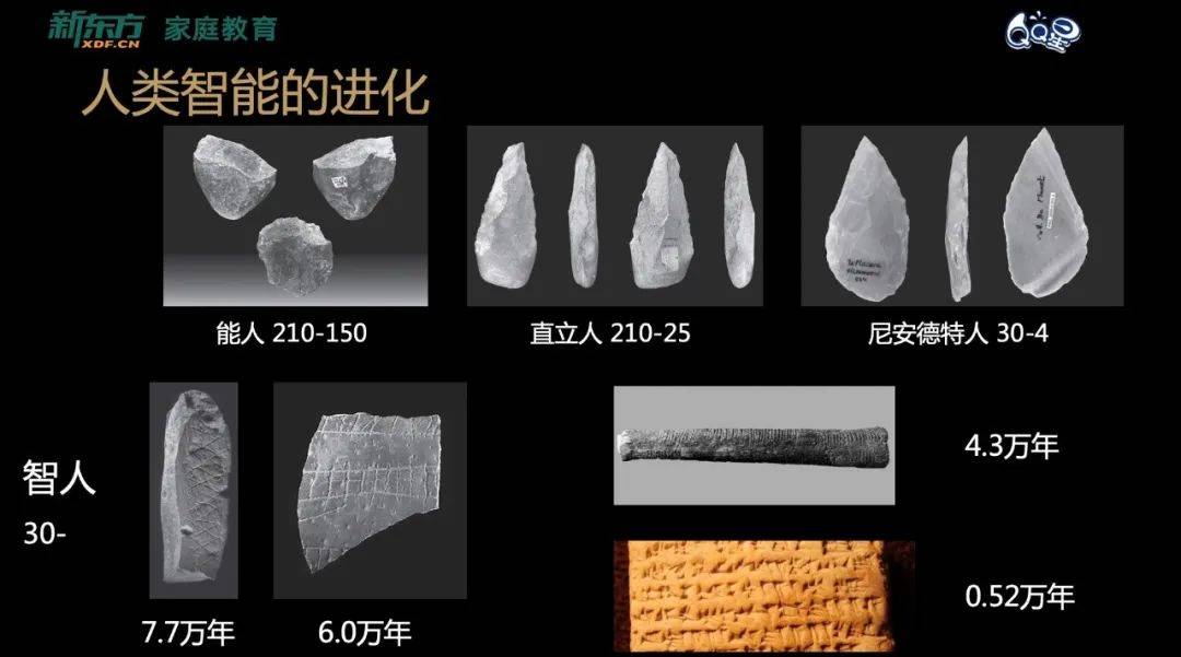 刘嘉:95%的教师未来会被AI替代,不要再培养孩子将被淘汰的能力了 | 精选 刘嘉:95%的教师未来会被AI替代,不要再培养孩子将被淘汰的能力了 | 精选