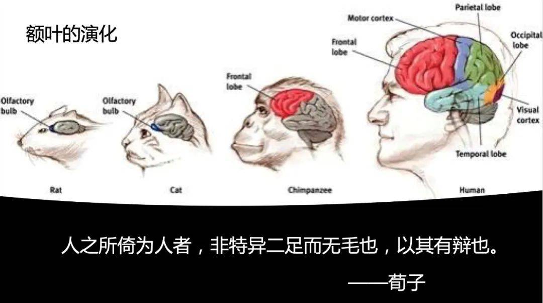 刘嘉:95%的教师未来会被AI替代,不要再培养孩子将被淘汰的能力了 | 精选 刘嘉:95%的教师未来会被AI替代,不要再培养孩子将被淘汰的能力了 | 精选