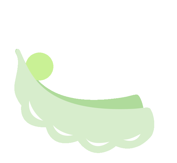 硬柿子的秋日物语