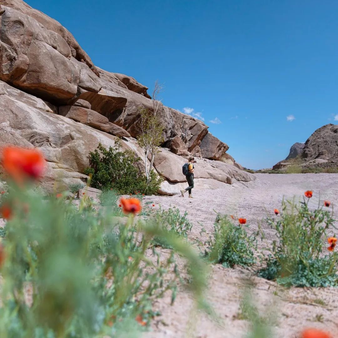 网游新规征求意见，腾讯网易市值蒸发4500亿/ChatGPT语音功能实现全面开放/淘宝天猫核心管理层大换血