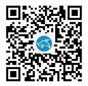 ChatGPT背后的“梦之队”：探究全球最大语言模型的创新之路