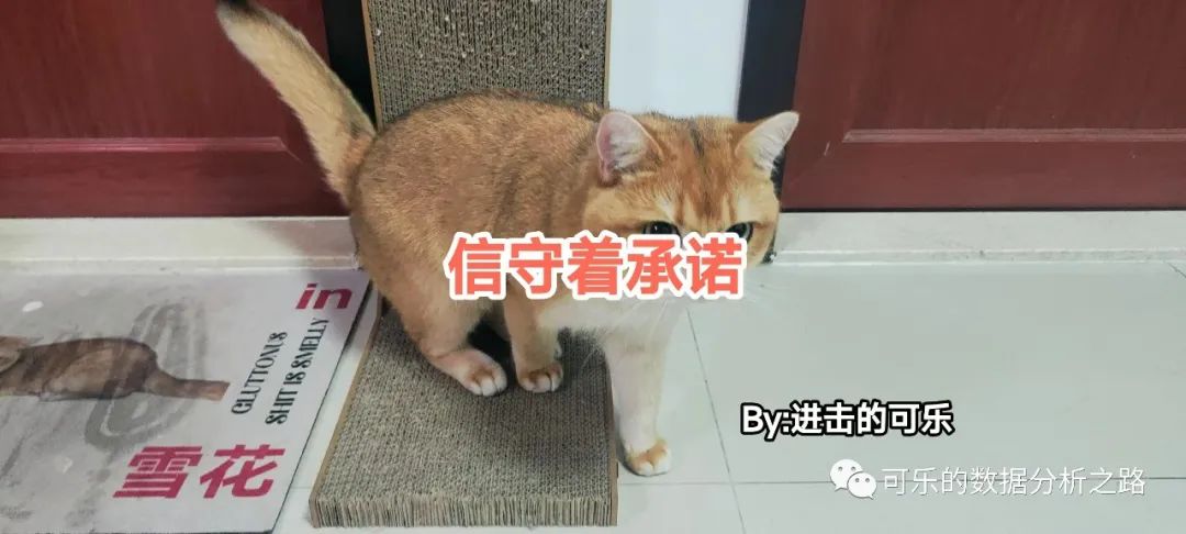 ChatGPT实战:用ChatGPT处理Excel ChatGPT实战:用ChatGPT处理Excel