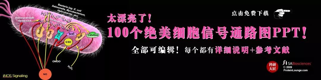 厉害了！北大3位硕博生搞出ChatGPT版Excel！动动嘴就能自动处理表格……免费用！
