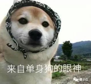 厉害了！北大3位硕博生搞出ChatGPT版Excel！动动嘴就能自动处理表格……免费用！