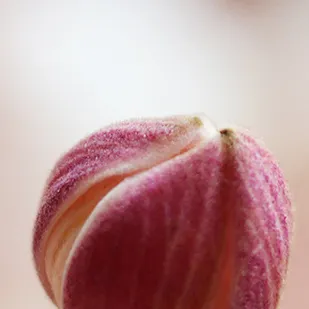 教与育失衡?疫情下的学校教育逻辑何在? 教与育失衡?疫情下的学校教育逻辑何在?