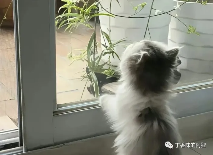 如何在忙碌的生活中找到真正的自我? 如何在忙碌的生活中找到真正的自我?