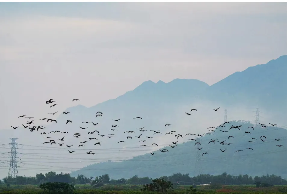 GPT出圈,PPT出局? GPT出圈,PPT出局?