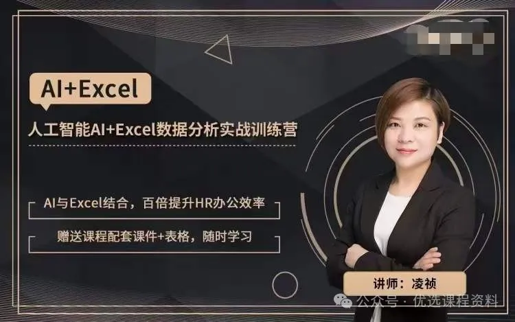 凌祯人工智能AI+Excel数据分析实战 凌祯人工智能AI+Excel数据分析实战
