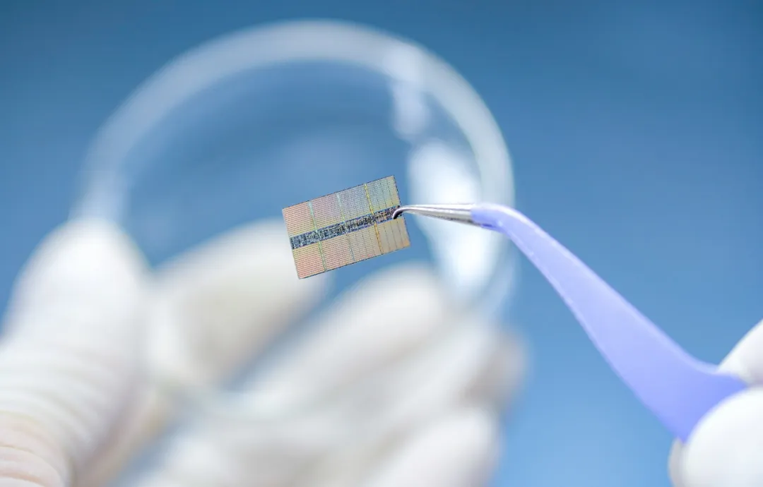 网络安全AI智能体公司「云起无垠」获数千万元天使+轮融资，致力于大模型与网络安全深度融合的技术研究｜早起看早期