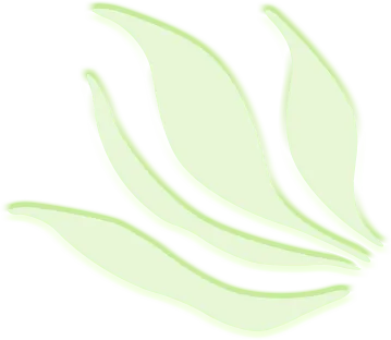 机遇还是挑战，拥抱还是限制——Chat GPT对教育的影响我有话说记南京市小市中心小学青年教师学研社沙龙活动