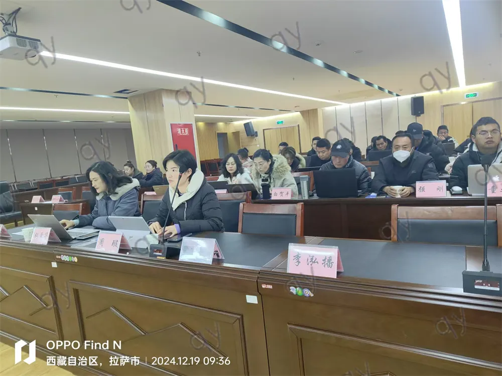 西藏领峰实业集团邀请张伟崇老师讲授《AI工具实战应用赋能——提升职场人高效办公》培训